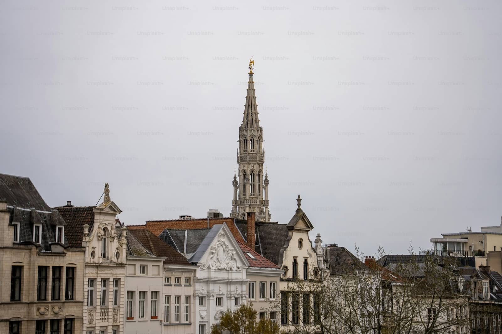 Antwerp hero image