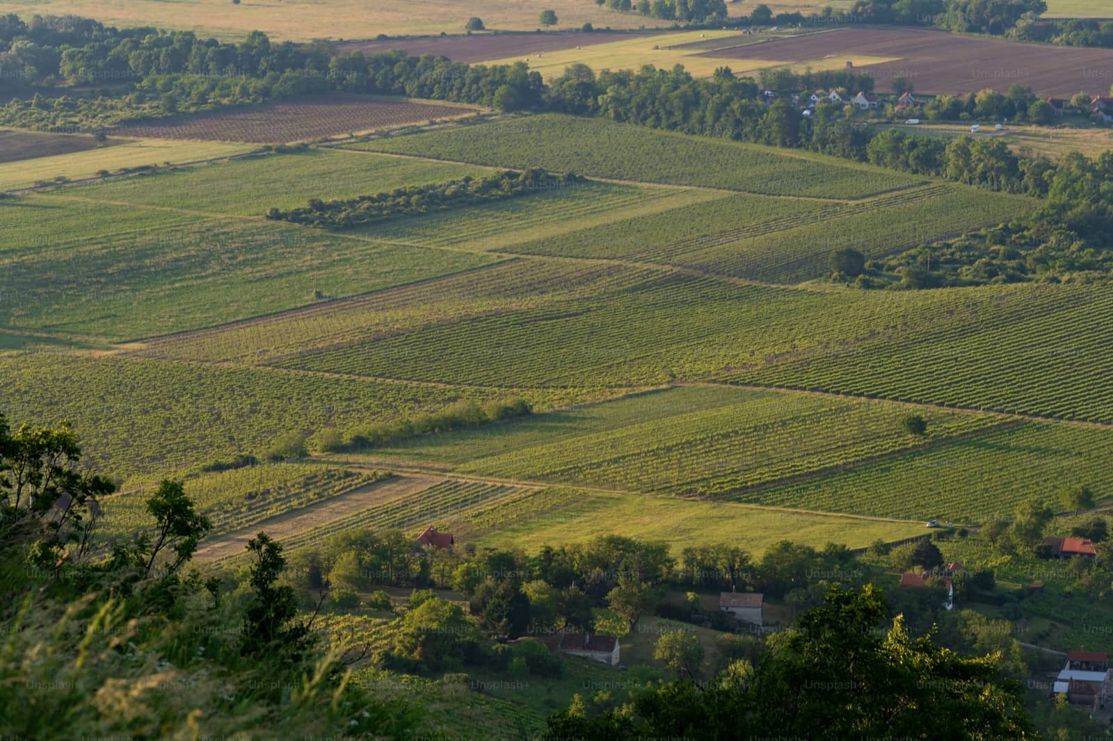 South Moravia Wine Country