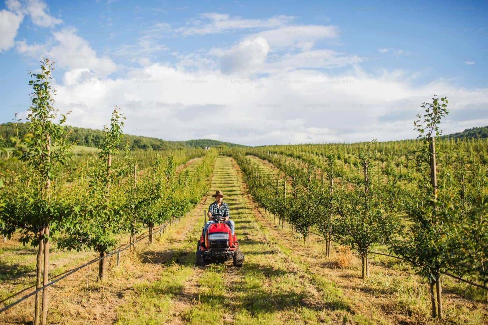 Moravian Wine Route hero image