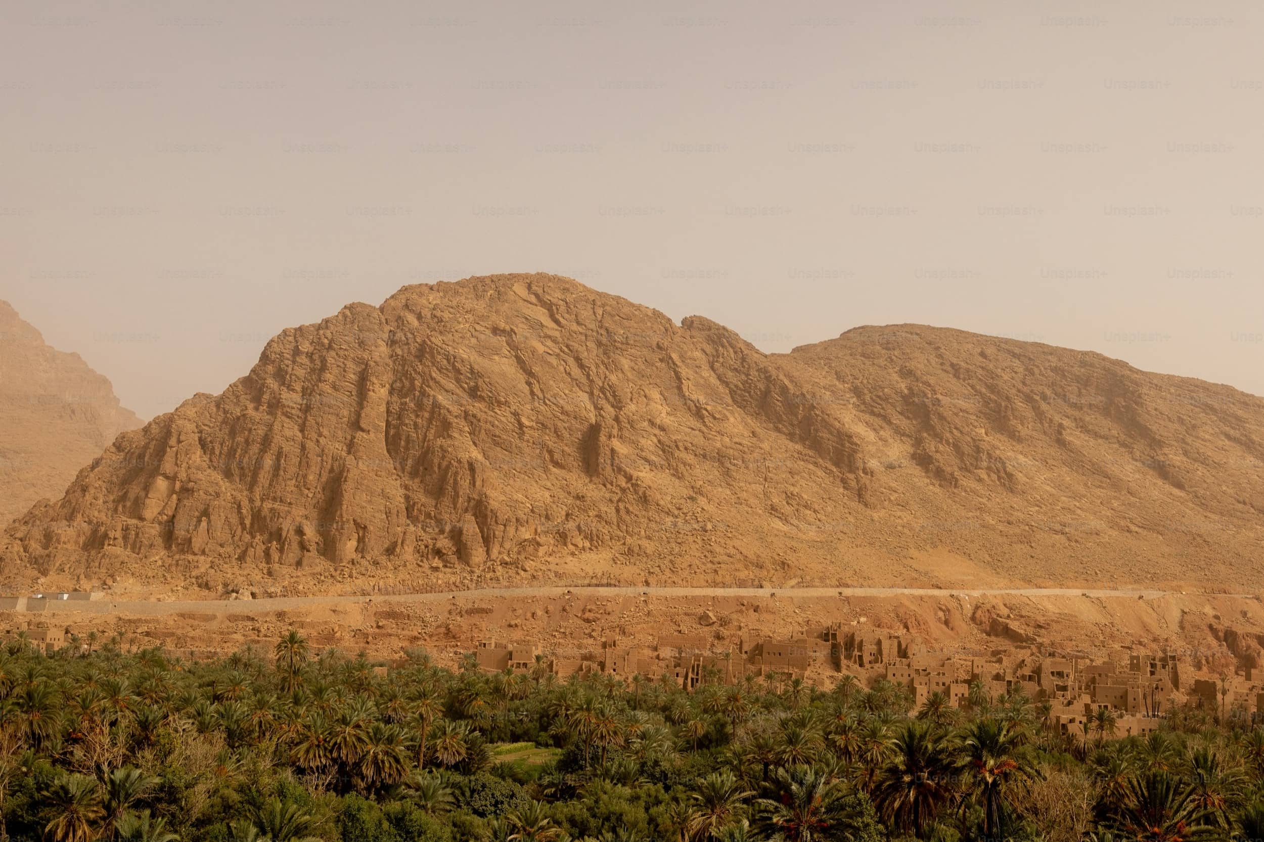 Sinai Peninsula hero image