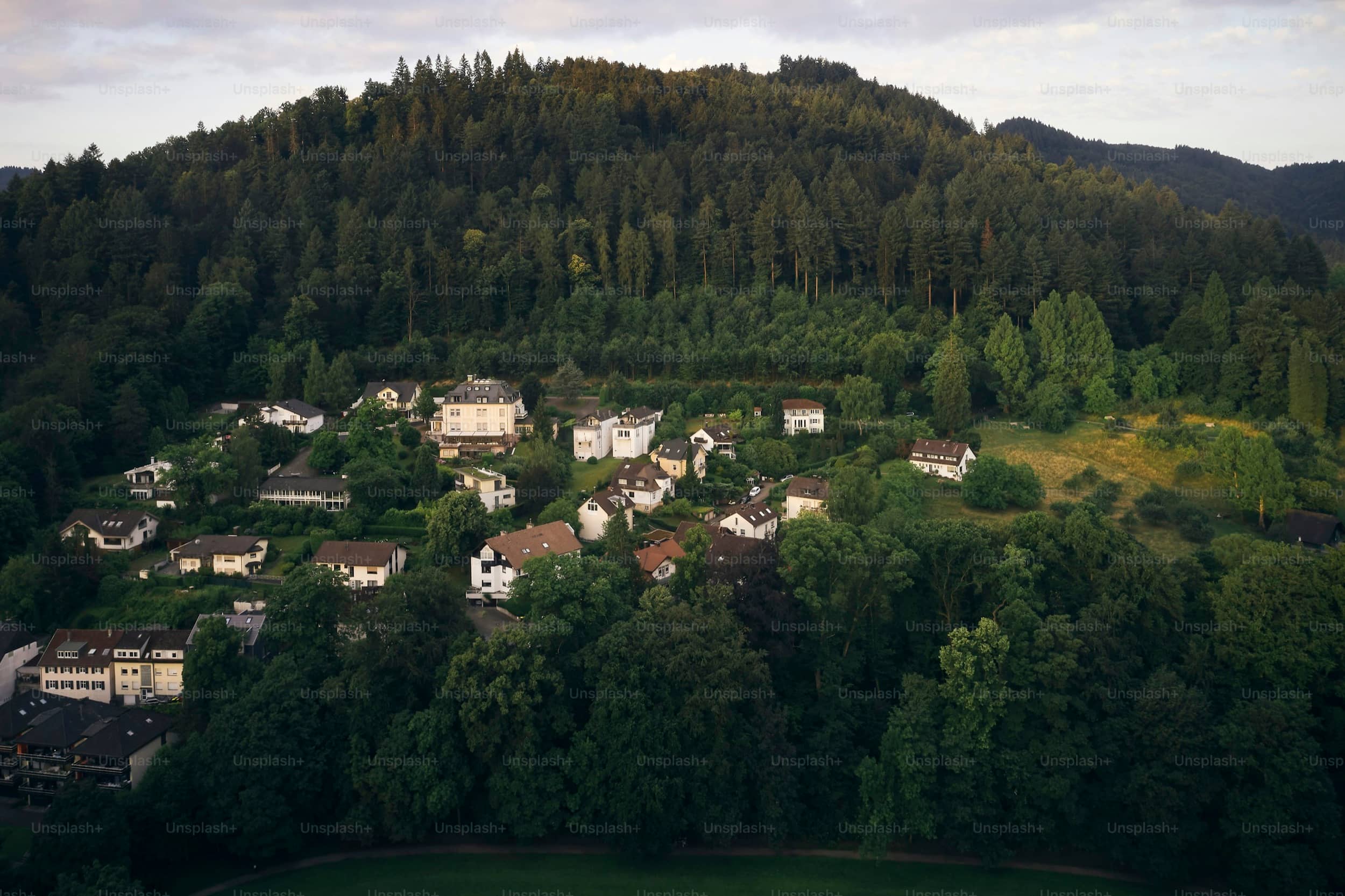 Black Forest hero image