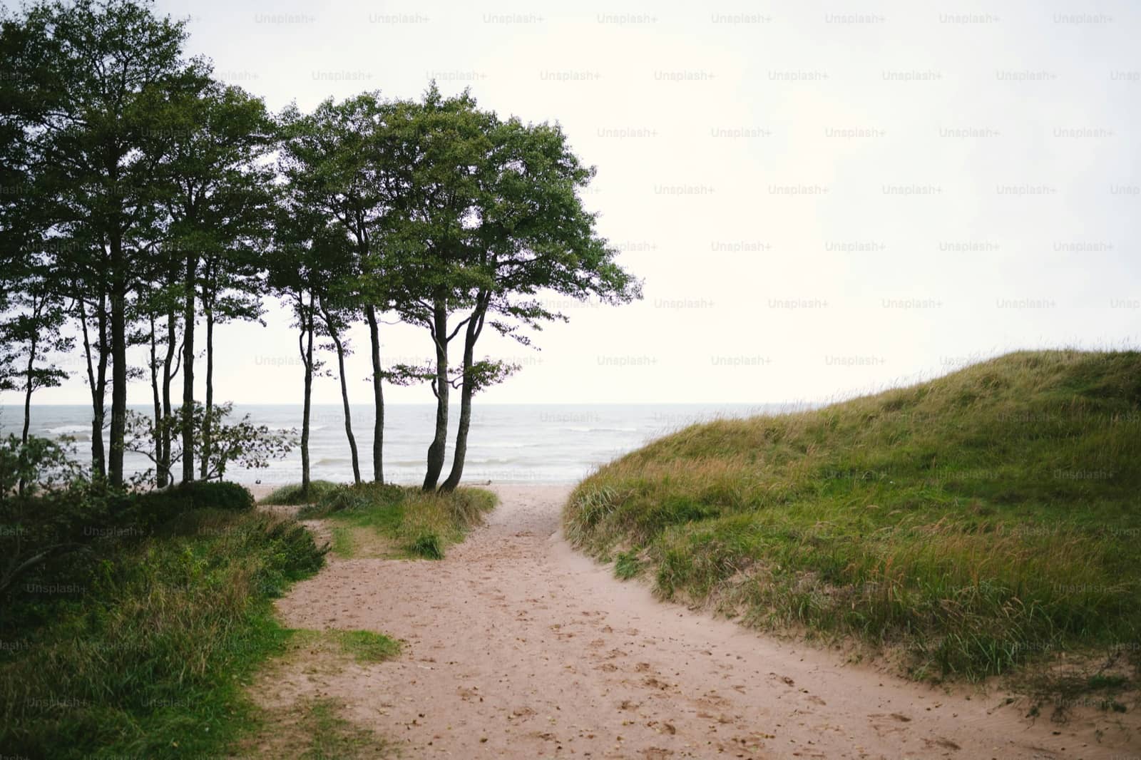 Aberdeen