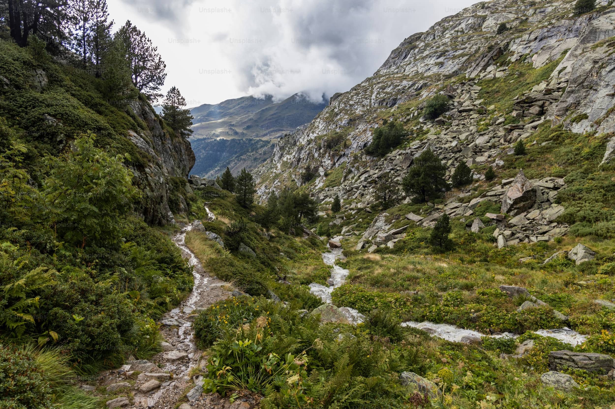 Camino de Santiago hero image