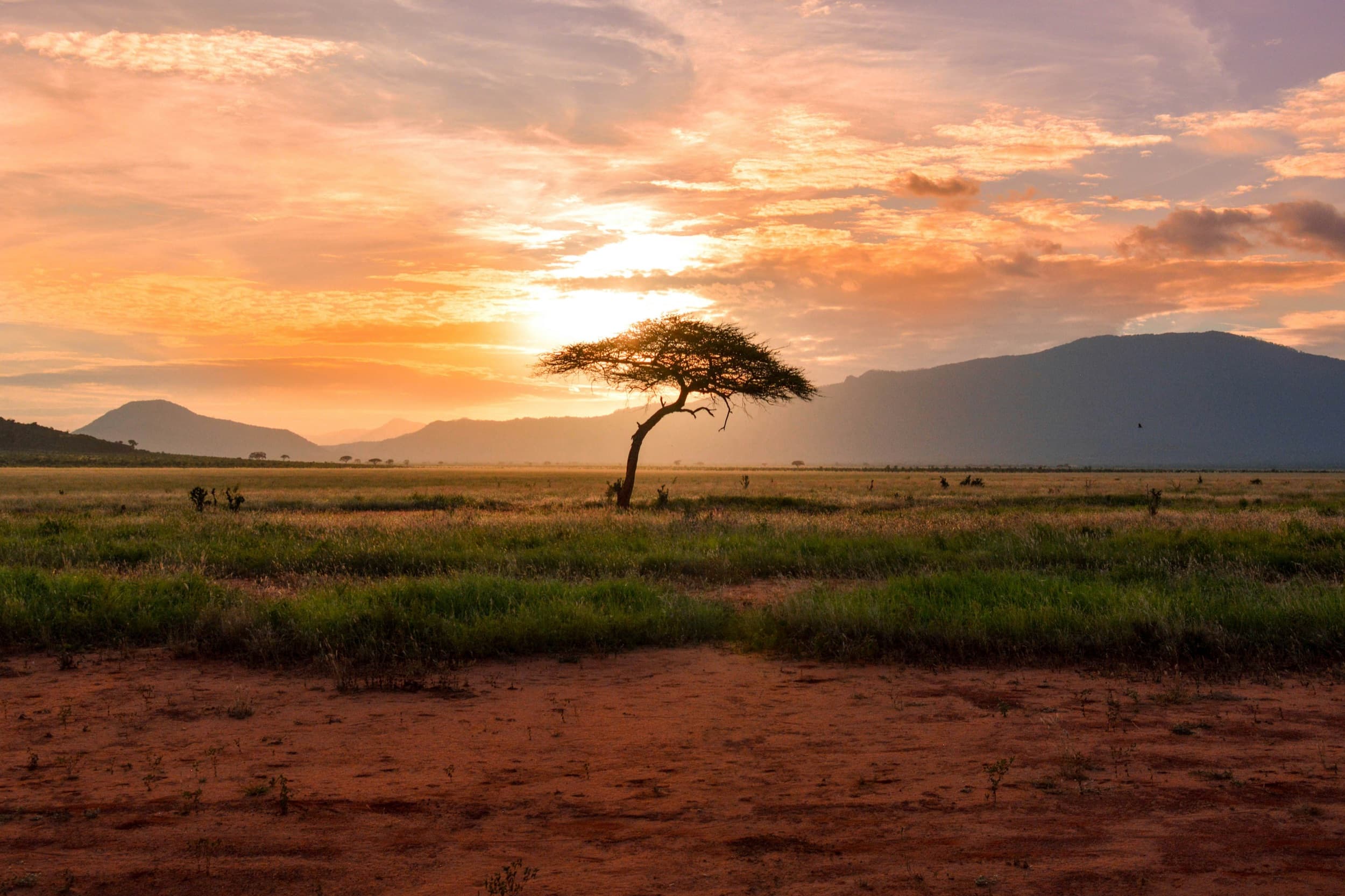 Africa hero image