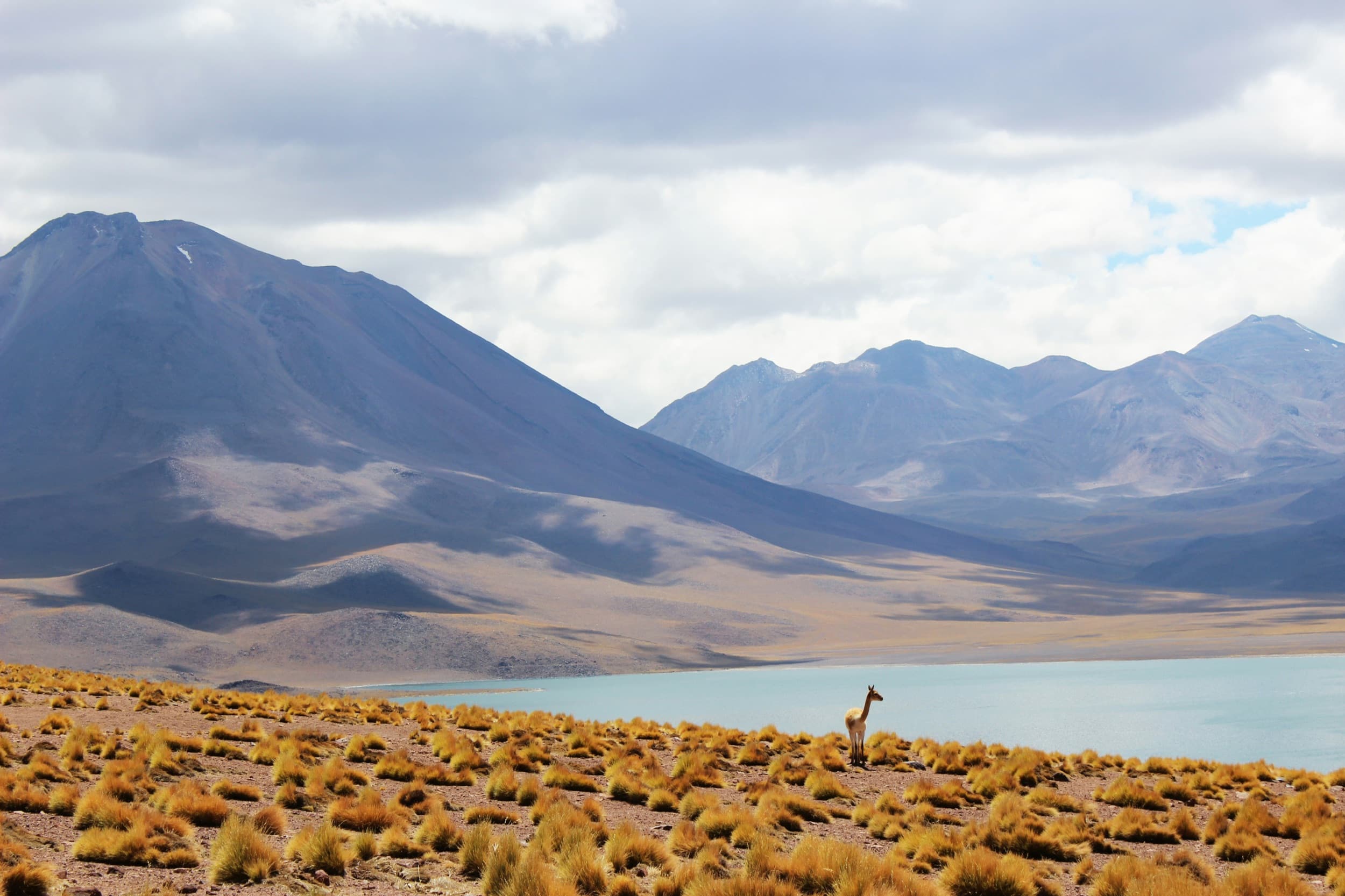Chile hero image